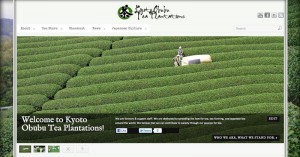 obubutea.com